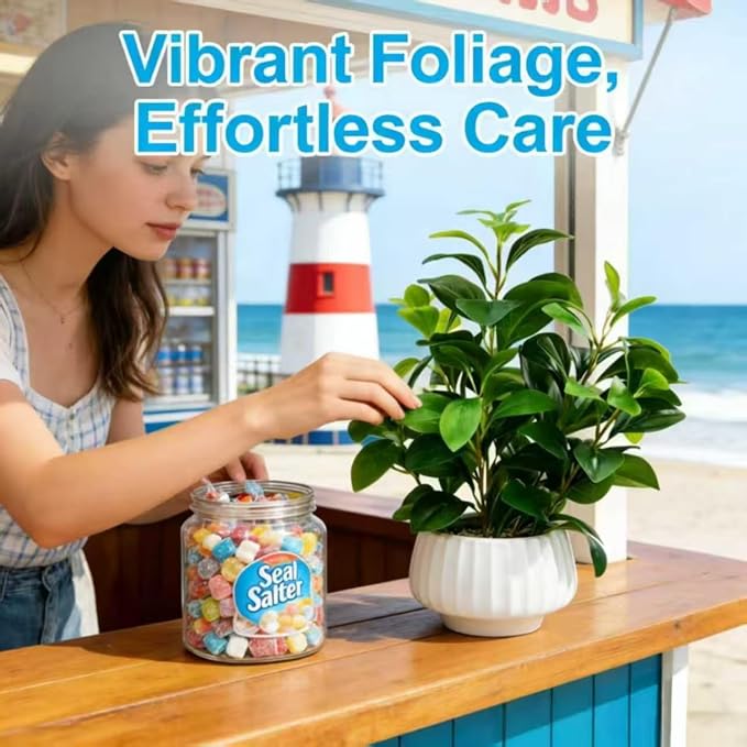 Artificial Peperomia Plants 16” Tall Lifelike Faux Greenery in 6” White Ribbed Ceramic Planter Realistic Indoor Fake Potted Plant for Home Office Desk Shelf Bathroom Bedroom Farmhouse Decor