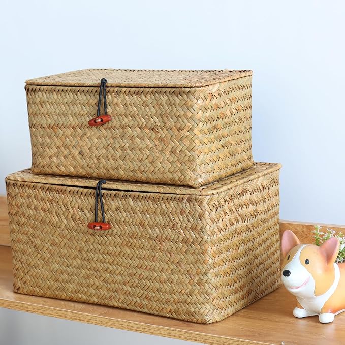 Moosky Wicker Shelf Baskets with Lid,Natural Seagrass Storage Basket Boxes Handwoven Rectangular Baskets Bins Multipurpose Home Organizer Decor (Small)