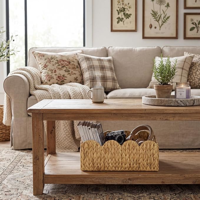 GRANNY SAYS Wicker Basket for Organizing, Shelf Baskets with Scalloped Edge | Scalloped Water Hyacinth Basket, Storage Wicker Basket for Pantry, Water Hyacinth Baskets with Scalloped Edge, Woven Baskets