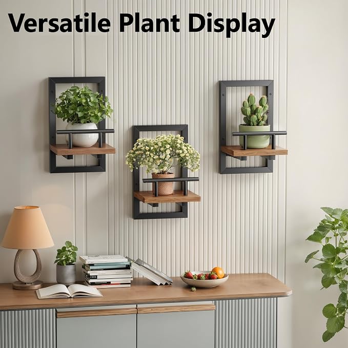 Sbosbo Floating Shelves for Wall Plant Shelf Indoor Wall Mounted Shelves | Wall Planters for Indoor Floating Plant Shelves for Bedroom, Living Room, Kitchen, Office, Bathroom Decor (2 Pack)