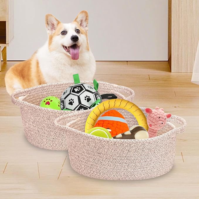 ABenkle Small Basket with Handles, Boho Decorative Rope Woven Dog Cat Toy Storage Bin Shelf Storage Organizer, Easter Christmas Gift Basket, 12"x8"x5"