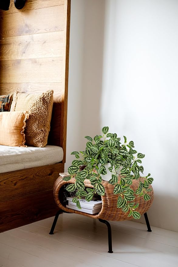 Briful Faux Plant Indoor, 17.7" Artificial Watermelon Peperomia Trailing Plant in White Plastic Pot, Realistic Fake Cascading Greenery for Cabinet Shelf Bathroom Office Table Home Kitchen Decor