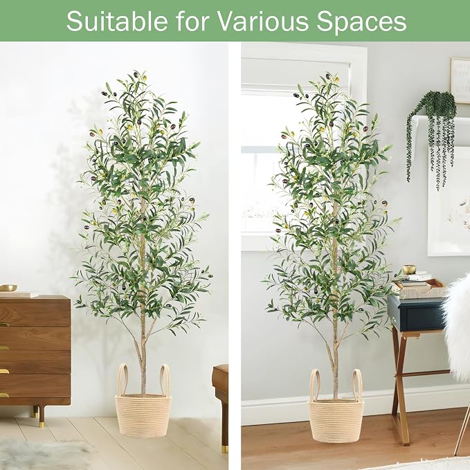 Caxchiling Artificial Olive Tree 6FT, 2 Pack Faux Floor Trees | Natural Wood Trunk with Fruits, Buds, Lifelike Olive Decor for Home Office, Living Room, Entryway Indoor Outdoor