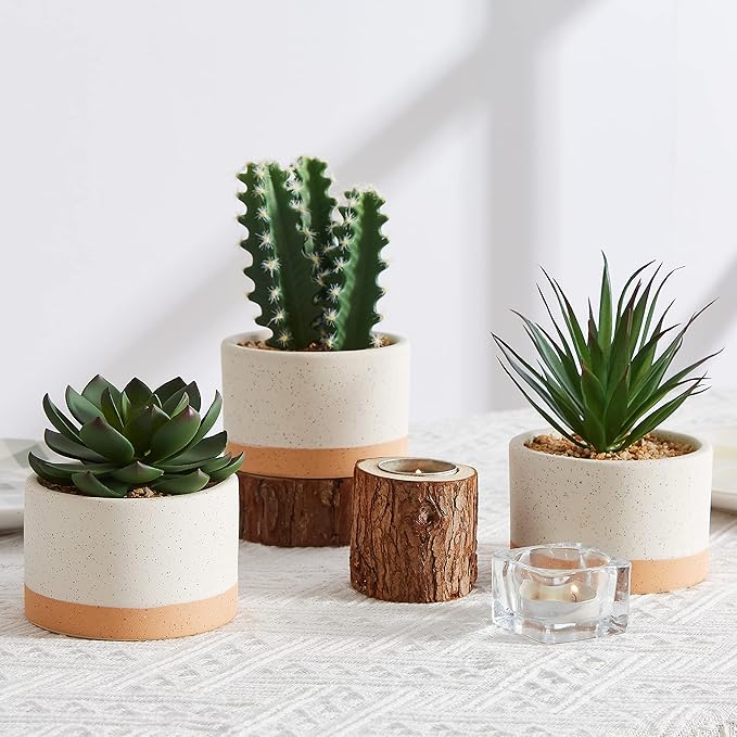 Artificial Succulent Plants in Ceramic Pots Set of 3 | Faux Assorted Succulents Fake Cactus Plants for Home Decor, Bedroom, Office, Desk, Living Room