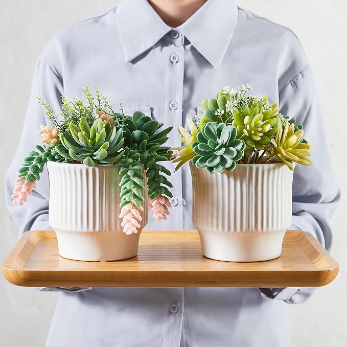 Artificial Succulent Plants, Faux Succulents Fake Plants Set of 2 | Artificial Cactus in White Ceramic Pot, for Home Decor, Bedroom, Office, Desk, Living Room – No Daily Maintenance Required