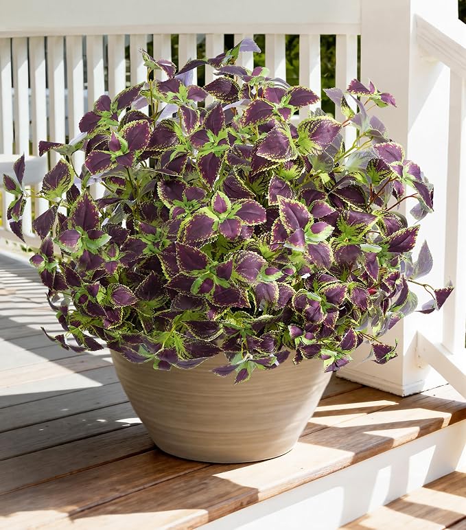 florisso Artificial Greenery Plants Outdoor, 5 Pcs Faux Coleus Plants UV Resistant Silk Plants with Stems, Fake Plants for Outside Garden Patio Hanging Planter Pathway Front Porch Decoration(Brown)