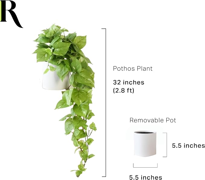 Retrograde 32" Fake Plant, Silk Faux Pothos Ivy Plant (Light Green) | Removable Pot Included, Realistic Silk Fake Plants Indoor, Artificial Plants for Hanging, Lush Trailing Fake Pothos