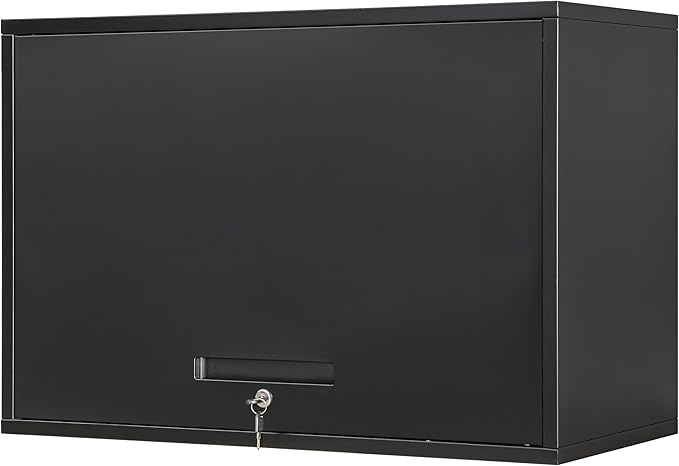 Metal Garage Wall Cabinet with Doors and Shelves, Wall Mounted Metal Storage Cabinet, Floating Garage Tool Cabinet for Garage, Basement, Kitchen, Warehouse (Black, 21.6" H)