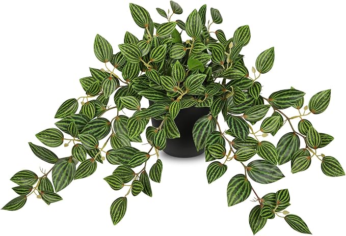 Briful Artificial Potted Plant Indoor, 19.6" Faux Watermelon Peperomia Trailing Plant in Black Pot, Realistic Fake Plants with Cascading Green Leaves for Shelf Bathroom Office Desk Kitchen Home Decor