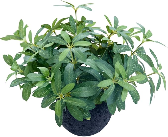 AlphaAcc 9.5" Artificial Olive Plant Black Pot Indoor Tabletop Decor | Lifelike fake plant with olive leaves, Perfect for kitchen, office, shelf & housewarming gift indoor decor.