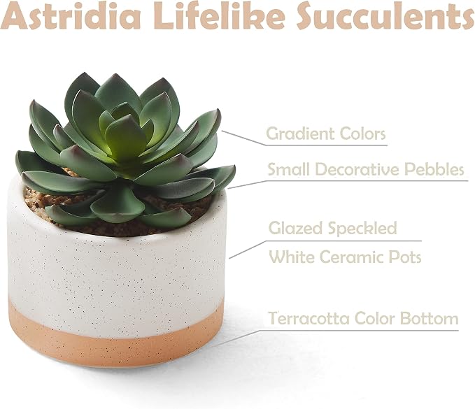 Artificial Succulent Plants in Ceramic Pots Set of 3 | Faux Assorted Succulents Fake Cactus Plants for Home Decor, Bedroom, Office, Desk, Living Room
