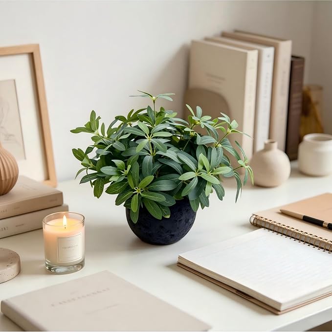 AlphaAcc 9.5" Artificial Olive Plant Black Pot Indoor Tabletop Decor | Lifelike fake plant with olive leaves, Perfect for kitchen, office, shelf & housewarming gift indoor decor.