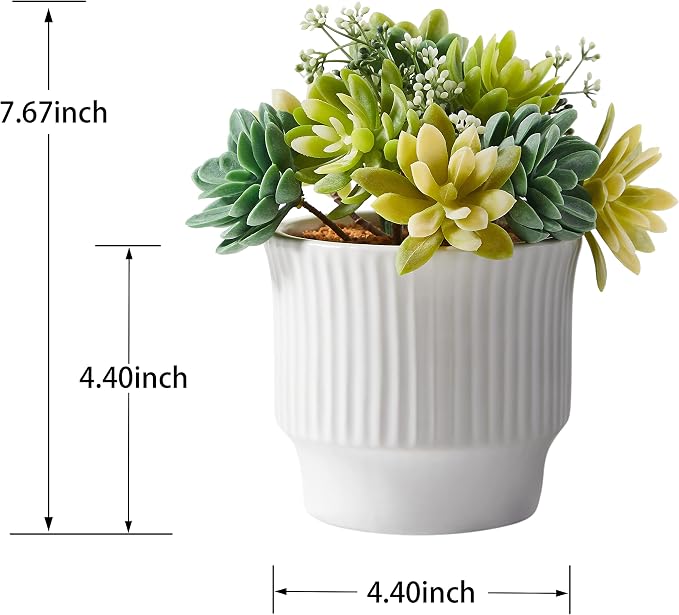 Artificial Succulent Plants, Faux Succulents Fake Plants Set of 2 | Artificial Cactus in White Ceramic Pot, for Home Decor, Bedroom, Office, Desk, Living Room – No Daily Maintenance Required