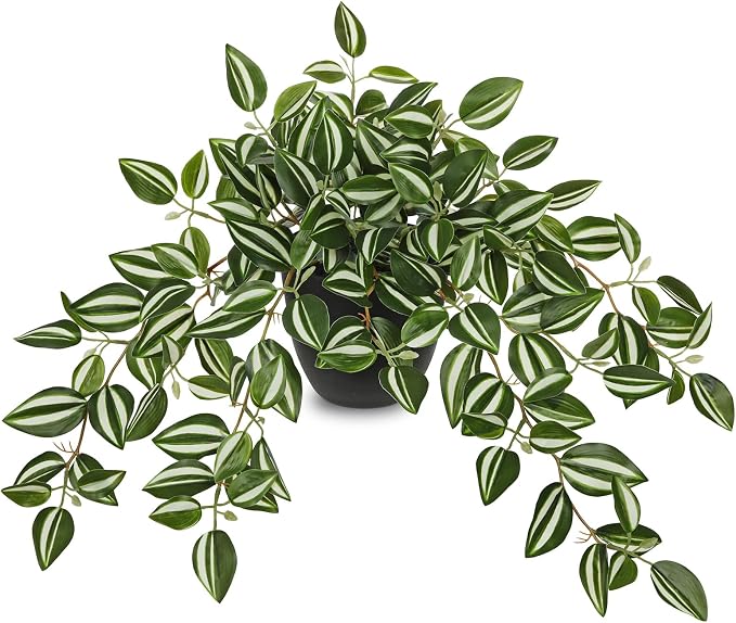 Briful Artificial Potted Plant Indoor, 19.6" Faux Watermelon Peperomia Trailing Plant in Black Pot, Realistic Fake Plants with Cascading Green Leaves for Cabinet Shelf Bathroom Office Desk Home Decor
