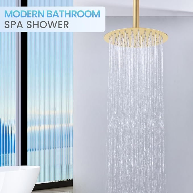 10 Inch Brushed Gold Round Rain Shower Head, All Metal Stainless Steel Rainfall Shower Heads with 100 Anti-Clog Silicone Nozzles, Wall or Ceiling Mount