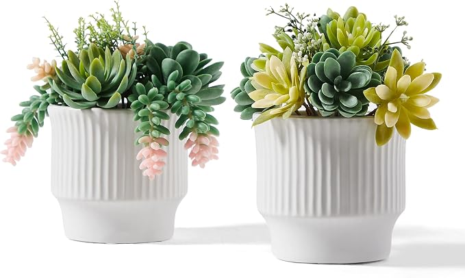 Artificial Succulent Plants, Faux Succulents Fake Plants Set of 2 | Artificial Cactus in White Ceramic Pot, for Home Decor, Bedroom, Office, Desk, Living Room – No Daily Maintenance Required