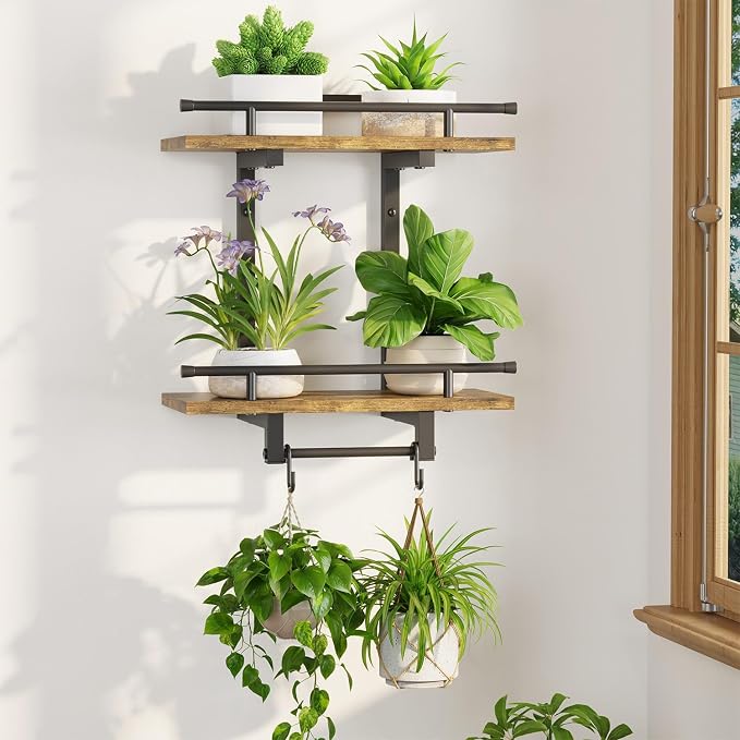 LASZOLA Floating Plant Shelves Holder Wall Mounted Indoor, 1 Pack Plant Hangers Stand with 2 Hooks, Metal and Wood Flower Hanging Display for Bedroom Living Room Kitchen Office Bathroom Decor, Brown