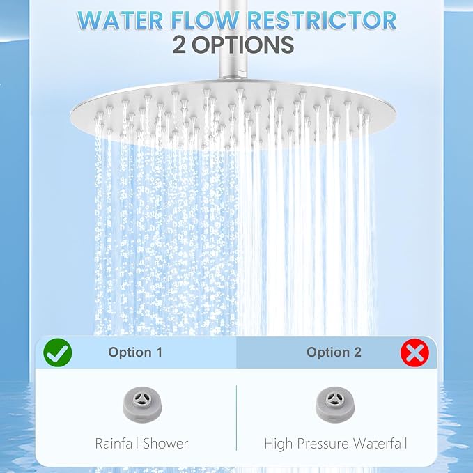 10 Inch Brushed Nickel Round Rain Shower Head, All Metal Stainless Steel Rainfall Shower Heads with 100 Anti-Clog Silicone Nozzles, Wall or Ceiling Mount