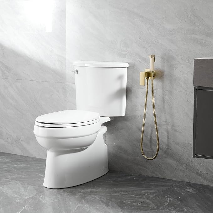 Wall Mounted Bidet Sprayer Set for Toilet with Hot & Cold Water | Warm Water Bidet Sprayer Faucet,Brass Valve,Handheld Bidet Attachment Set for Bathing Pets and Feminine Hygiene,Brushed Gold