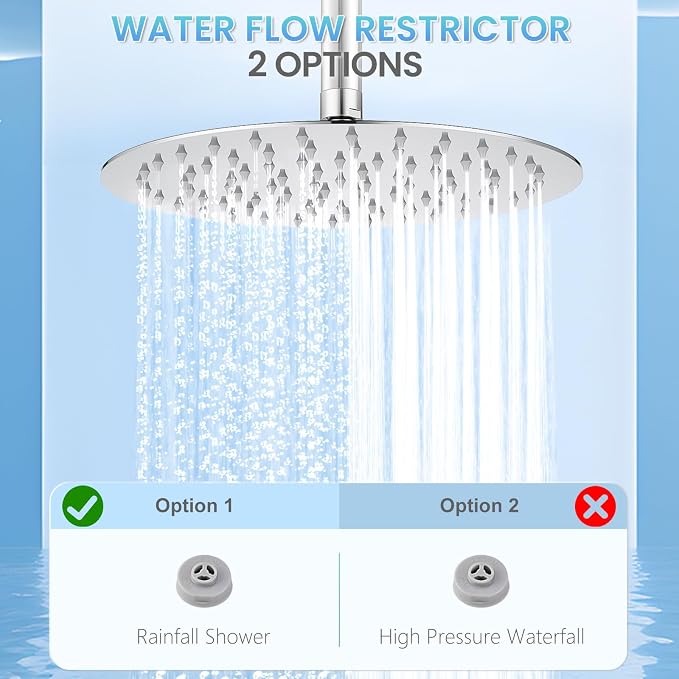 10 Inch Chrome Round Rain Shower Head, All Metal Stainless Steel Rainfall Shower Heads with 100 Anti-Clog Silicone Nozzles, Wall or Ceiling Mount