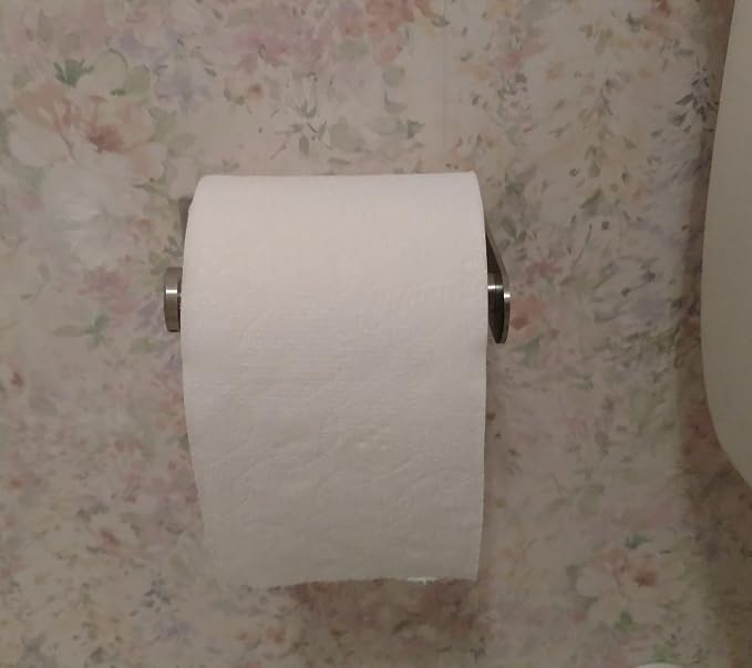 Wall Mount Toilet Paper Holder, Tissue Paper Roll Towel Holder | Stainless Steel bathroom toilet paper holder, toilet paper storage, toilet tissue holder, Rustproof Brushed Finish