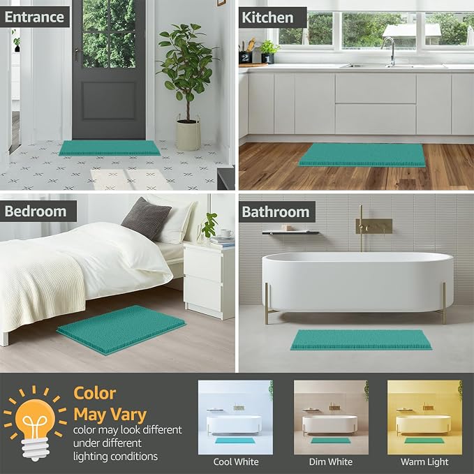 Ultra Soft Texture Chenille Plush Bath Rugs Floor Mats, Bath Rug Non Slip Microfiber Door Mat for Kitchen/Entryway/Living Room (30 x 20 inches, Turquoise)