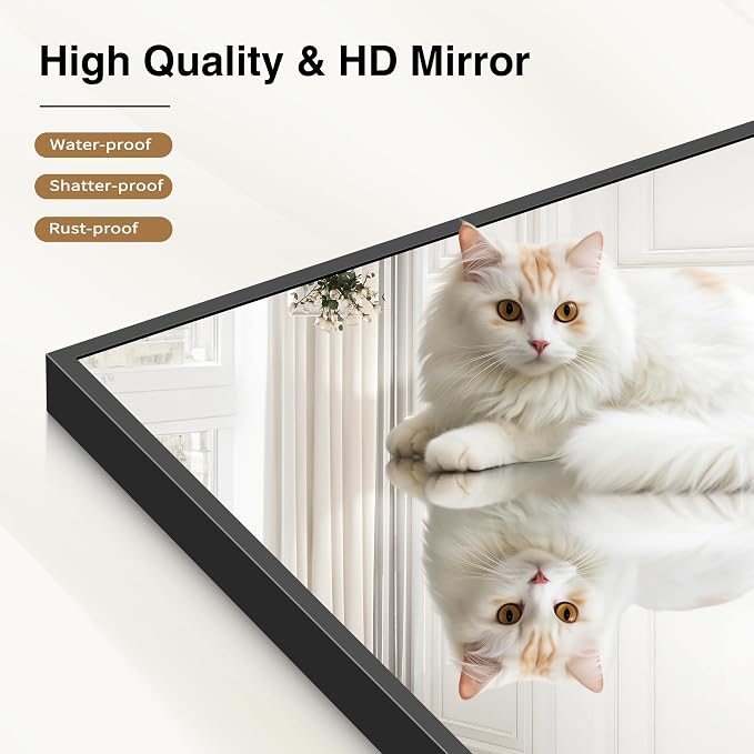 COFENY 40x60inch Black Bathroom Mirror, Black Rectangle Mirror with Frame, Large Rectangular Wall Mirrors for Bathroom, Living Room, Hair Salon, Big Farmhouse Mirror Hang Horizontal/Vertical