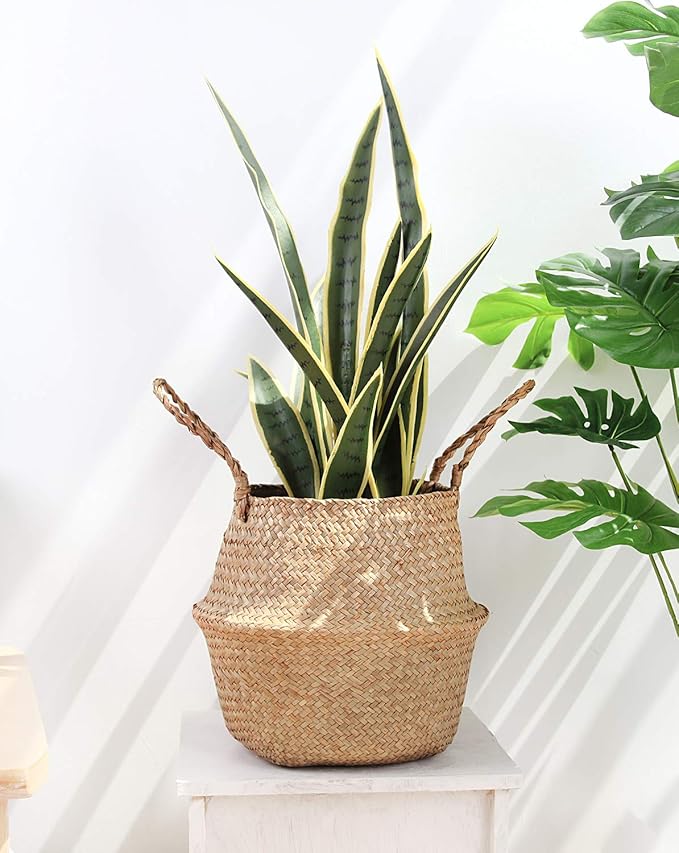 Woven Seagrass Belly Basket for Storage, Plant Pot, Laundry, Picnic and Grocery Basket with Handle (Large, Original)