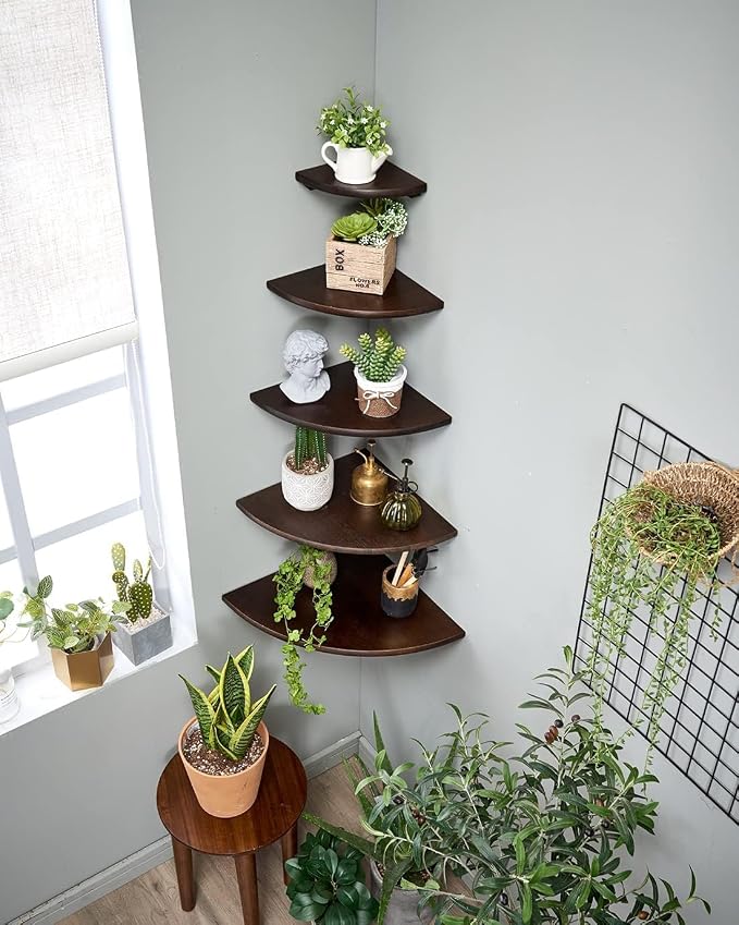 Corner Shelf, Solid Oak Wood Floating Corner Shelf Wall Mount Round End Floating Speaker Shelves with Wire Hole for Small Plant Photo Frame for Bedroom Kitchen, Living Room (Walnut, 7in)