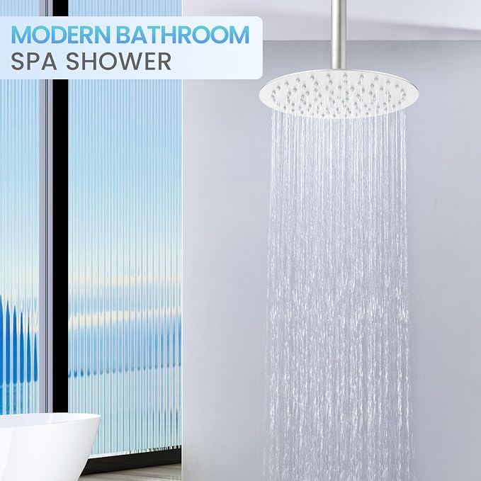 10 Inch Brushed Nickel Round Rain Shower Head, All Metal Stainless Steel Rainfall Shower Heads with 100 Anti-Clog Silicone Nozzles, Wall or Ceiling Mount