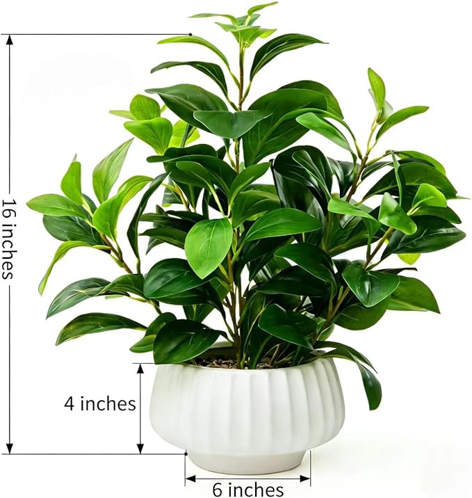 Artificial Peperomia Plants 16” Tall Lifelike Faux Greenery in 6” White Ribbed Ceramic Planter Realistic Indoor Fake Potted Plant for Home Office Desk Shelf Bathroom Bedroom Farmhouse Decor