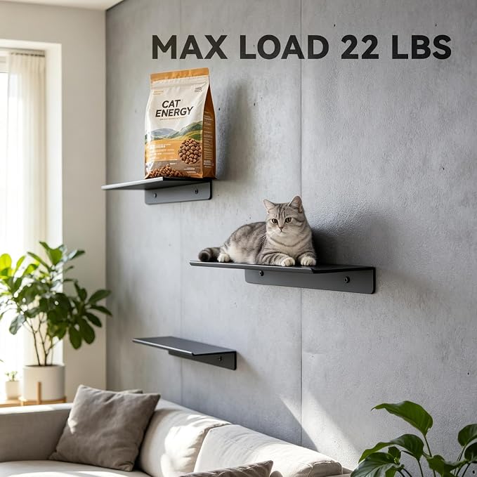 LANC 20" Long Floating Shelf for Wall Storage, Matte Black Bathroom Shelf on Wall Mounted, Stainless Steel Display Hanging Shelves for Bathroom/Living Room/Shower/Books Caddy, A7283MB-L5