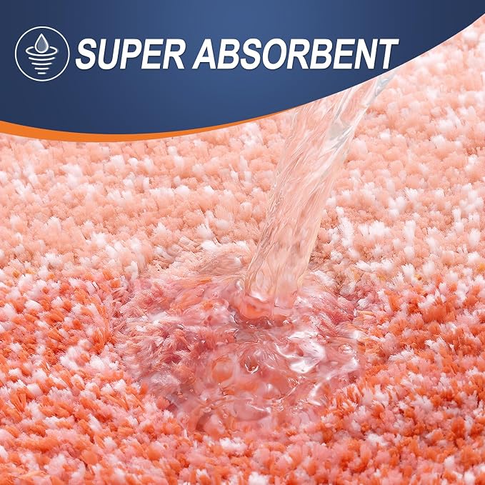 OLANLY Small Bathroom Rugs 24x16, Extra Soft Absorbent Microfiber Bath Rugs | Coral, Non-Slip Quick-Drying Rubber Backing, Washable Plush Bath Mat for Floor, Tub and Shower, Home Decor Accessories