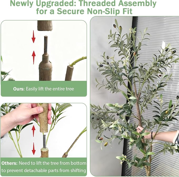 Caxchiling Artificial Olive Tree 6FT, 2 Pack Faux Floor Trees | Natural Wood Trunk with Fruits, Buds, Lifelike Olive Decor for Home Office, Living Room, Entryway Indoor Outdoor