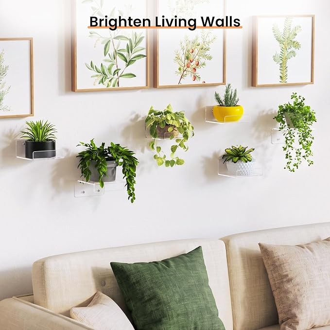 upsimples 4" Acrylic Shelves, Small Shelf for Wall Decor and Display, 4 Pcs | Small Floating Shelf for Plants, Speaker, Toys, Invisible Wall Display for Bathroom, Bedroom, Living Room, Room Decor