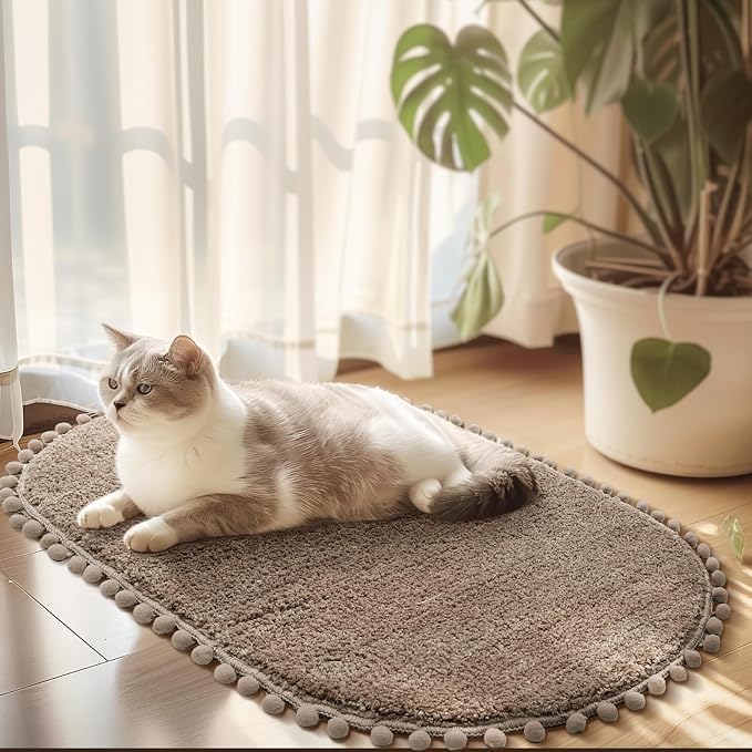 YIRDDEO Oval Rug for Bathroom, Cute Boho Bath Mat with Pom, Oatmeal | Soft Plush, Absorbent, Quick Dry, Machine Washable, Non Slip Bath Mat for Bathroom Shower Floor Home Decor
