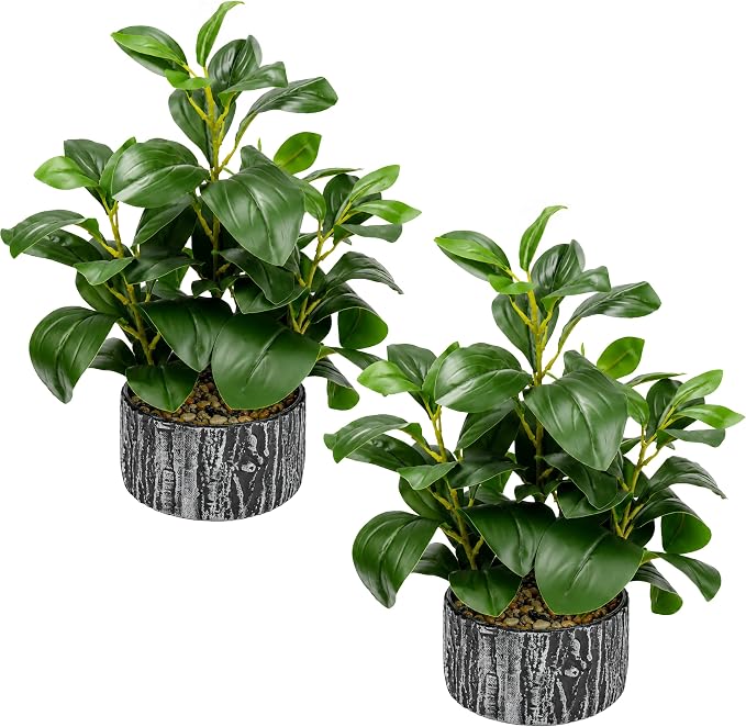 Der Rose 15.7" 2Pcs Faux Money Leaf Plants Indoor for SheIf Desk Decor | Artificial plants round, broad and thick leaves in textured planters style separate spaces or create a rustic shelf display