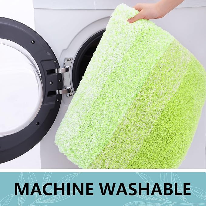 Arotive Microfiber Bathroom Rugs, Shaggy Soft Absorbent Bath Rug, 30x20 | LightGreen, Rubber Backing Thick Plush Machine Washable Dry Bath Mats for Bathroom, Tub and Shower, Rectangular