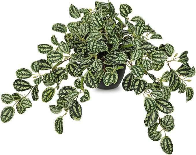 Briful Artificial Potted Plant Indoor, 19.6" Faux Watermelon Peperomia Trailing Plant in Black Pot, Realistic Fake Plants with Cascading Green Leaves for Shelf Bathroom Office Desk Kitchen Home Decor