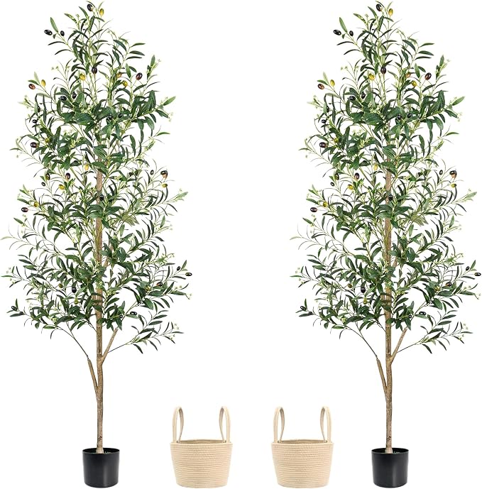 Caxchiling Artificial Olive Tree 6FT, 2 Pack Faux Floor Trees | Natural Wood Trunk with Fruits, Buds, Lifelike Olive Decor for Home Office, Living Room, Entryway Indoor Outdoor