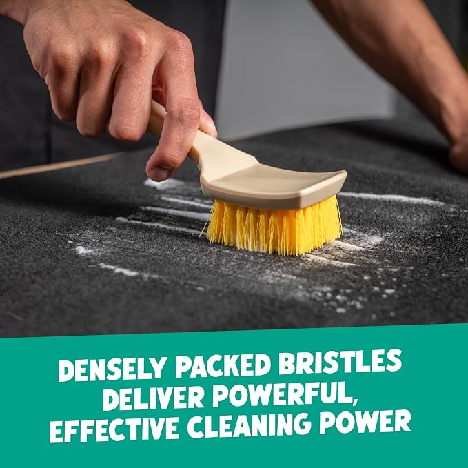 Chemical Guys, Induro 7 Heavy Duty Carpet & Upholstery Nifty Brush, 2 Pack | Stiff, durable bristles deep-clean carpet, fabric and upholstery in cars, RVs and home interiors, two pack