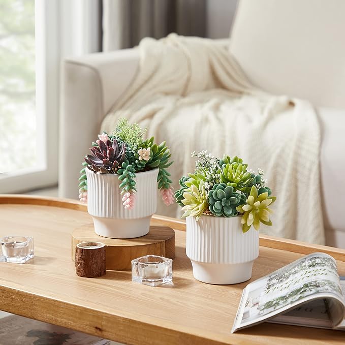 Artificial Succulent Plants, Faux Succulents Fake Plants Set of 2 | Artificial Cactus in White Ceramic Pot, for Home Decor, Bedroom, Office, Desk, Living Room – No Daily Maintenance Required