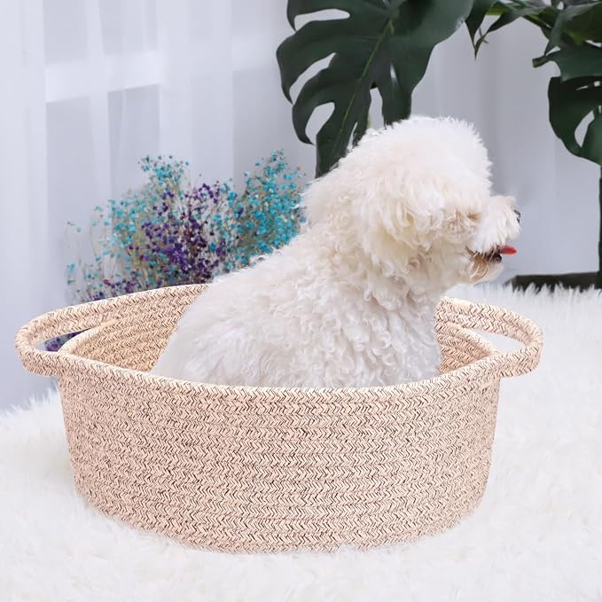 ABenkle Small Basket with Handles, Boho Decorative Rope Woven Dog Cat Toy Storage Bin Shelf Storage Organizer, Easter Christmas Gift Basket, 12"x8"x5"