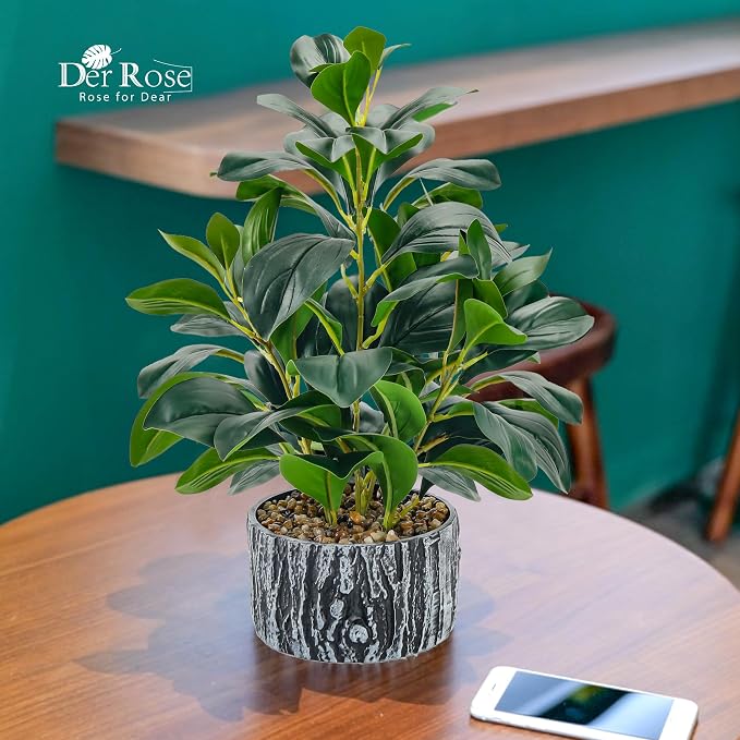 Der Rose 15.7" 2Pcs Faux Money Leaf Plants Indoor for SheIf Desk Decor | Artificial plants round, broad and thick leaves in textured planters style separate spaces or create a rustic shelf display