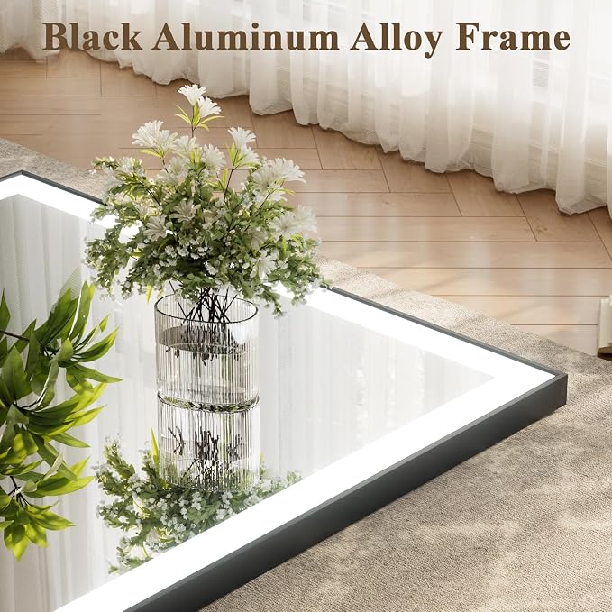 HARRITPURE Vanity Mirror with Lights, 24"x 32" LED Bathroom Mirror | Black Framed Lighted Mirror for Wall, Anti-Fog, Stepless Dimmable, 3 Color Modes, Memory Function