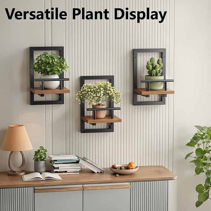 Sbosbo Floating Shelves for Wall Plant Shelf Indoor Wall Mounted Shelves | Wall Planters for Indoor Floating Plant Shelves for Bedroom, Living Room, Kitchen, Office, Bathroom Decor (3 Pack)