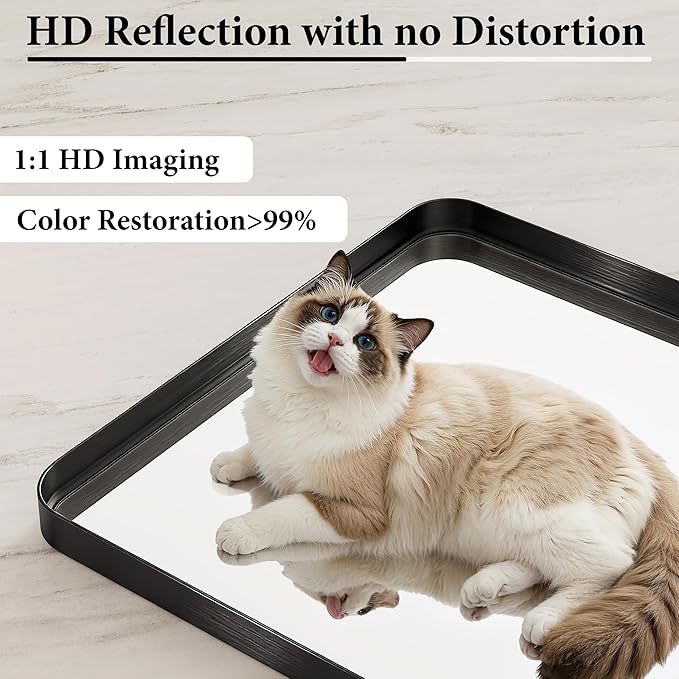 Bathroom Mirror for Wall, 30x20 Inch Rectangle Mirror,Matte Black Metal Framed Bathroom Vanity Mirror for Restroom Farmhouse, HD Tempered Glass,Anti-Rust Aluminum Alloy Mirror