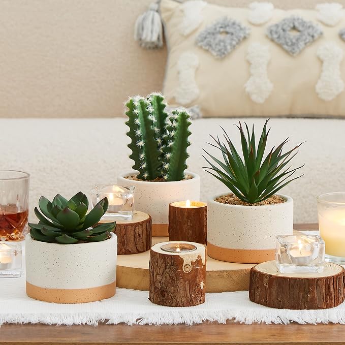 Artificial Succulent Plants in Ceramic Pots Set of 3 | Faux Assorted Succulents Fake Cactus Plants for Home Decor, Bedroom, Office, Desk, Living Room