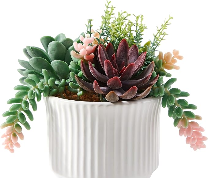 Artificial Succulent Plants, Faux Succulents Fake Plants Set of 2 | Artificial Cactus in White Ceramic Pot, for Home Decor, Bedroom, Office, Desk, Living Room – No Daily Maintenance Required