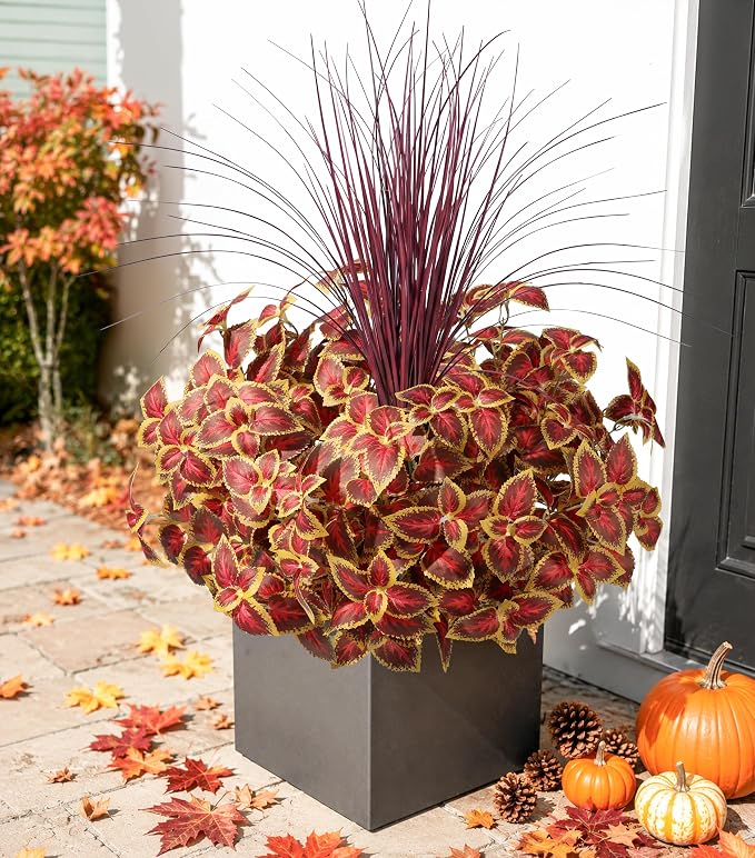 florisso Fall Artificial Coleus Plants Outdoot with Burgundy Grass 5Pcs | Faux Fall Plants UV Resistant Silk Plants with Stems, Fake Plants for Outside Garden Patio Planter Pathway Front Porch